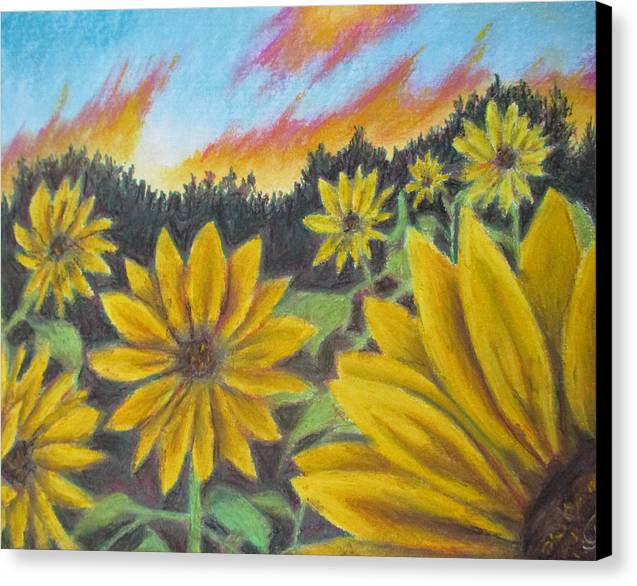 Sunflower Hue - Canvas Print