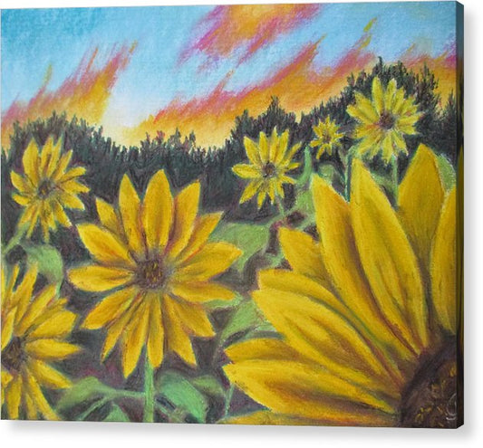 Sunflower Hue - Acrylic Print