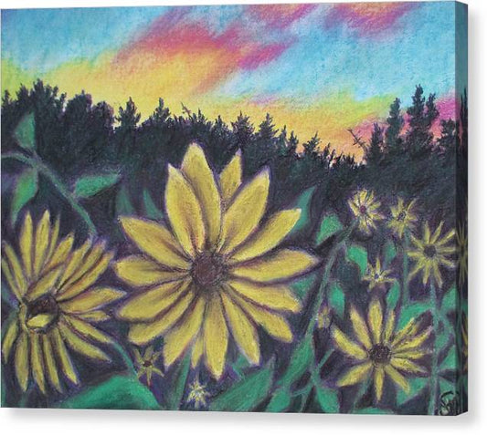Sunflower Sunset - Canvas Print