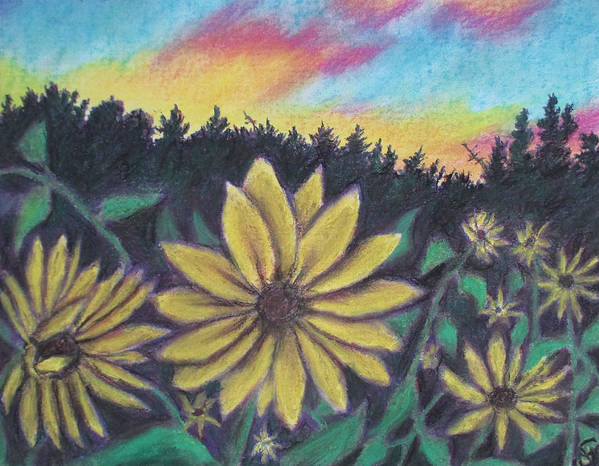 Sunflower Sunset - Art Print