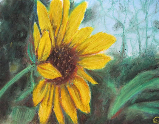 Sunflower View - Art Print