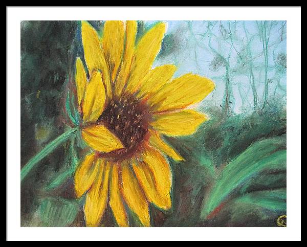 Sunflower View - Framed Print