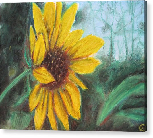 Sunflower View - Acrylic Print
