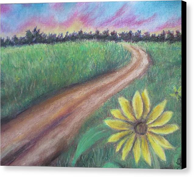 Sunflower Way - Canvas Print