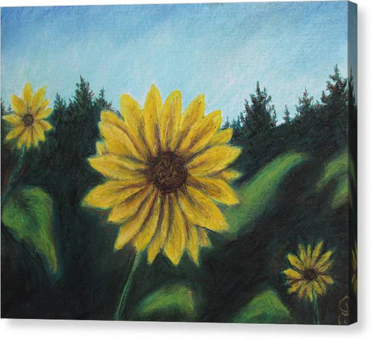 Sunny Sun Sun Flower - Canvas Print
