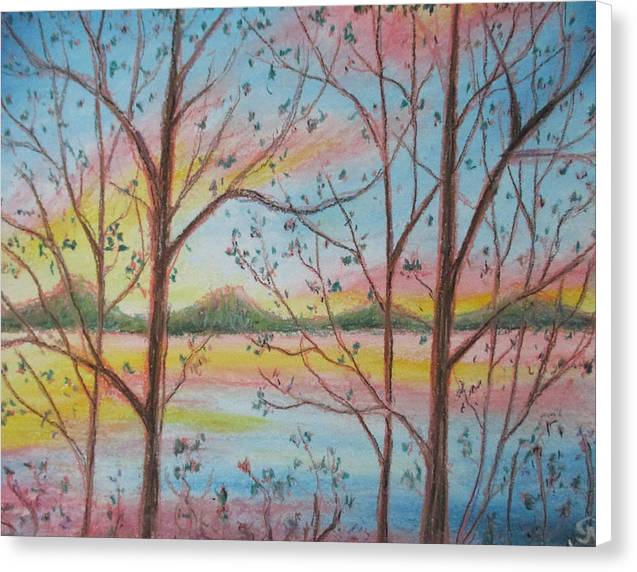 Sunny Woodlet - Canvas Print