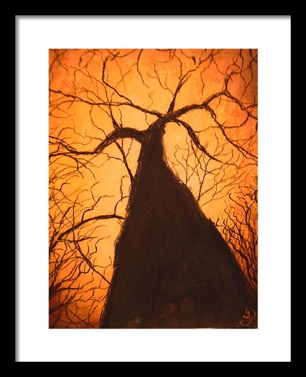 Tree's Unite - Framed Print