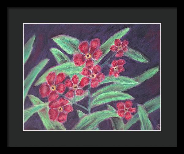 Visions of Forget Me Nots ~ Framed Print