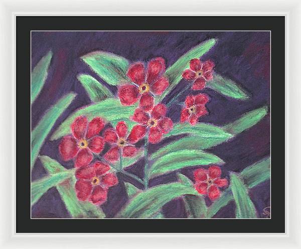 Visions of Forget Me Nots ~ Framed Print