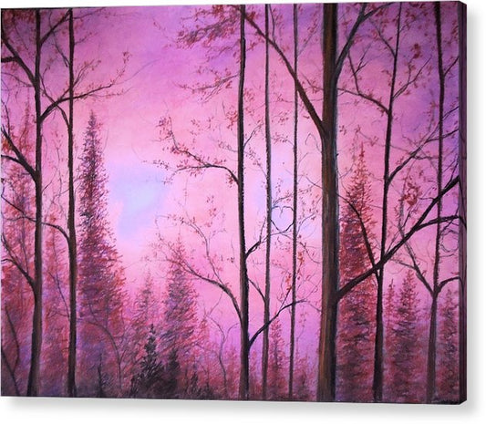 Woods - Acrylic Print