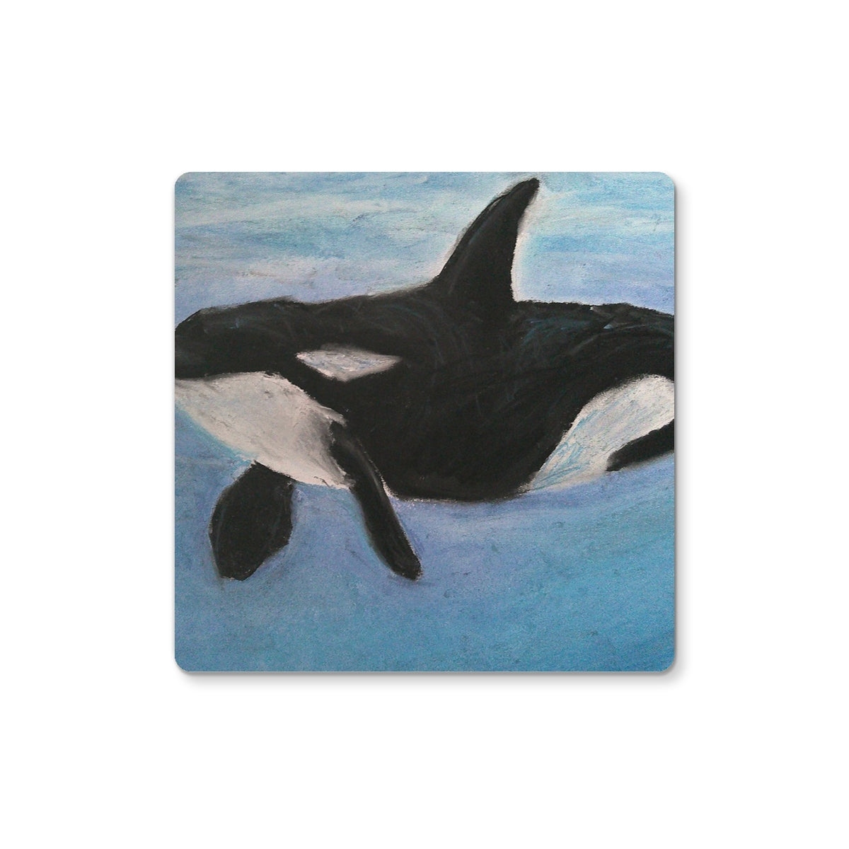 Orca Calls ~ Coaster