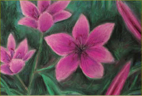 Pink Lilies ~ Poster