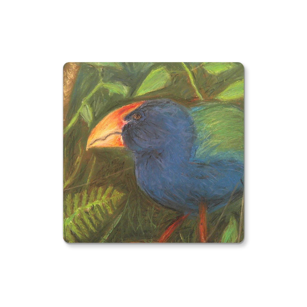 The Takahe Coaster