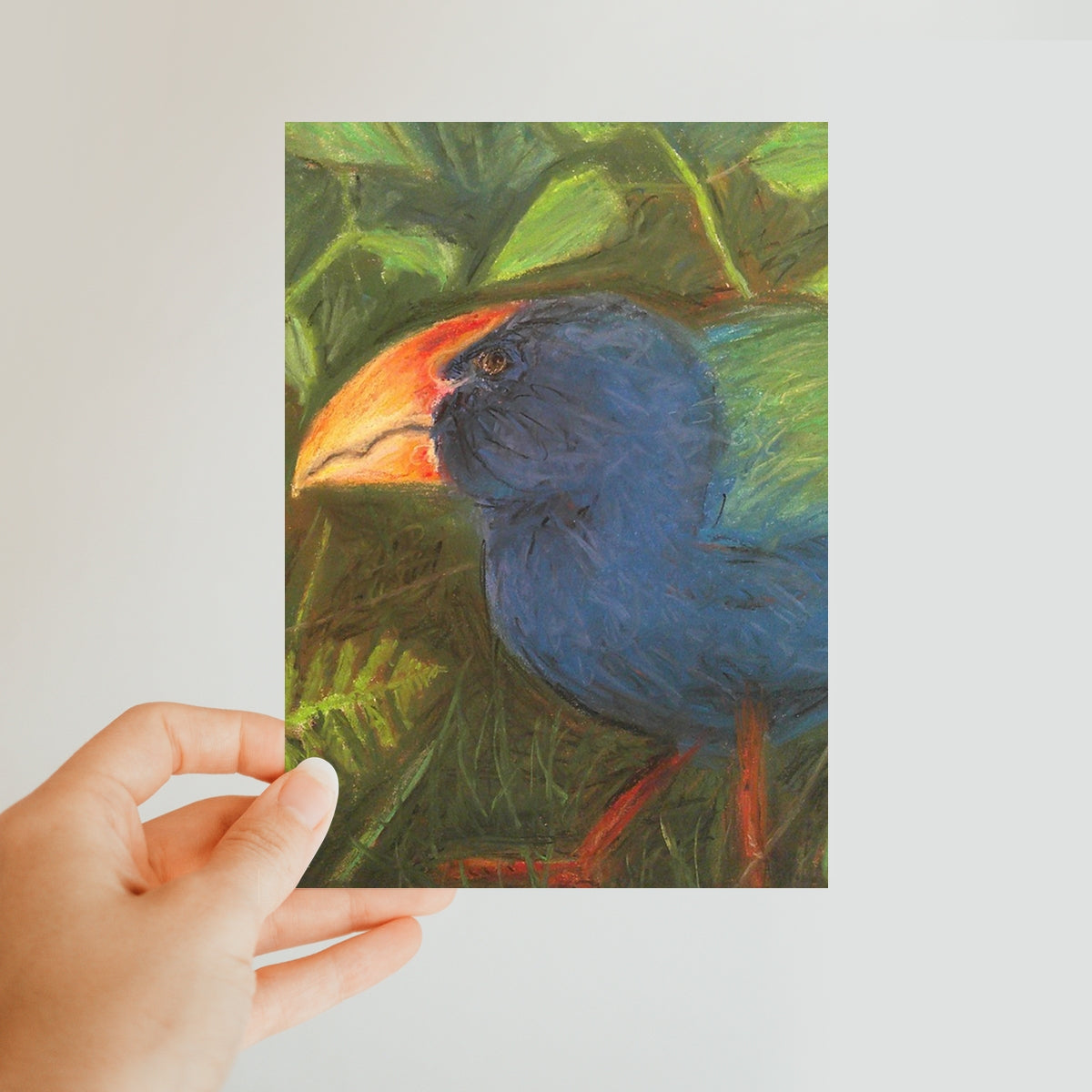 The Takahe Classic Postcard