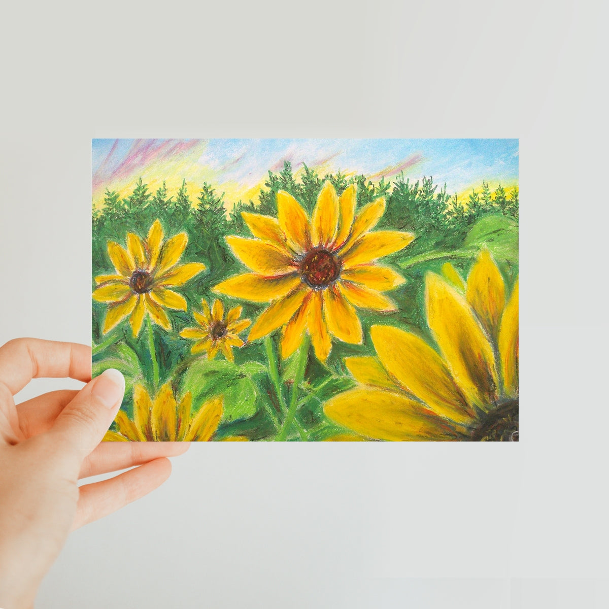 Sunflower on Rainbows ~  Classic Postcard