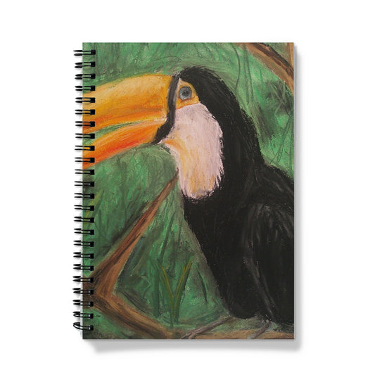 Toucan ~  Notebook