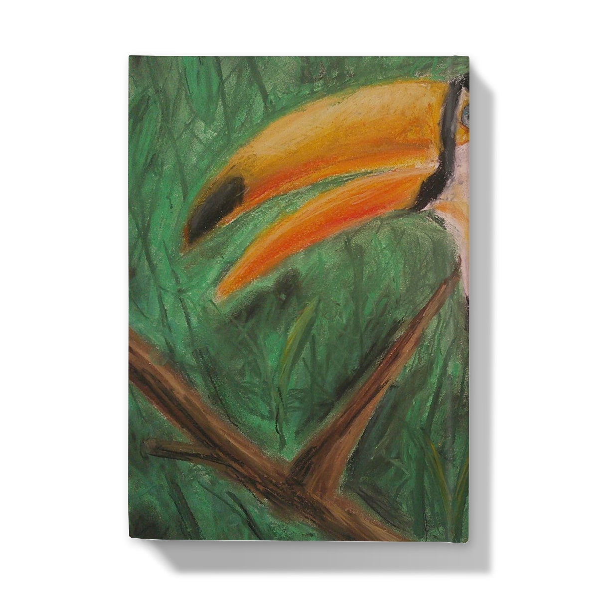 Toucan ~  Hardback Journal