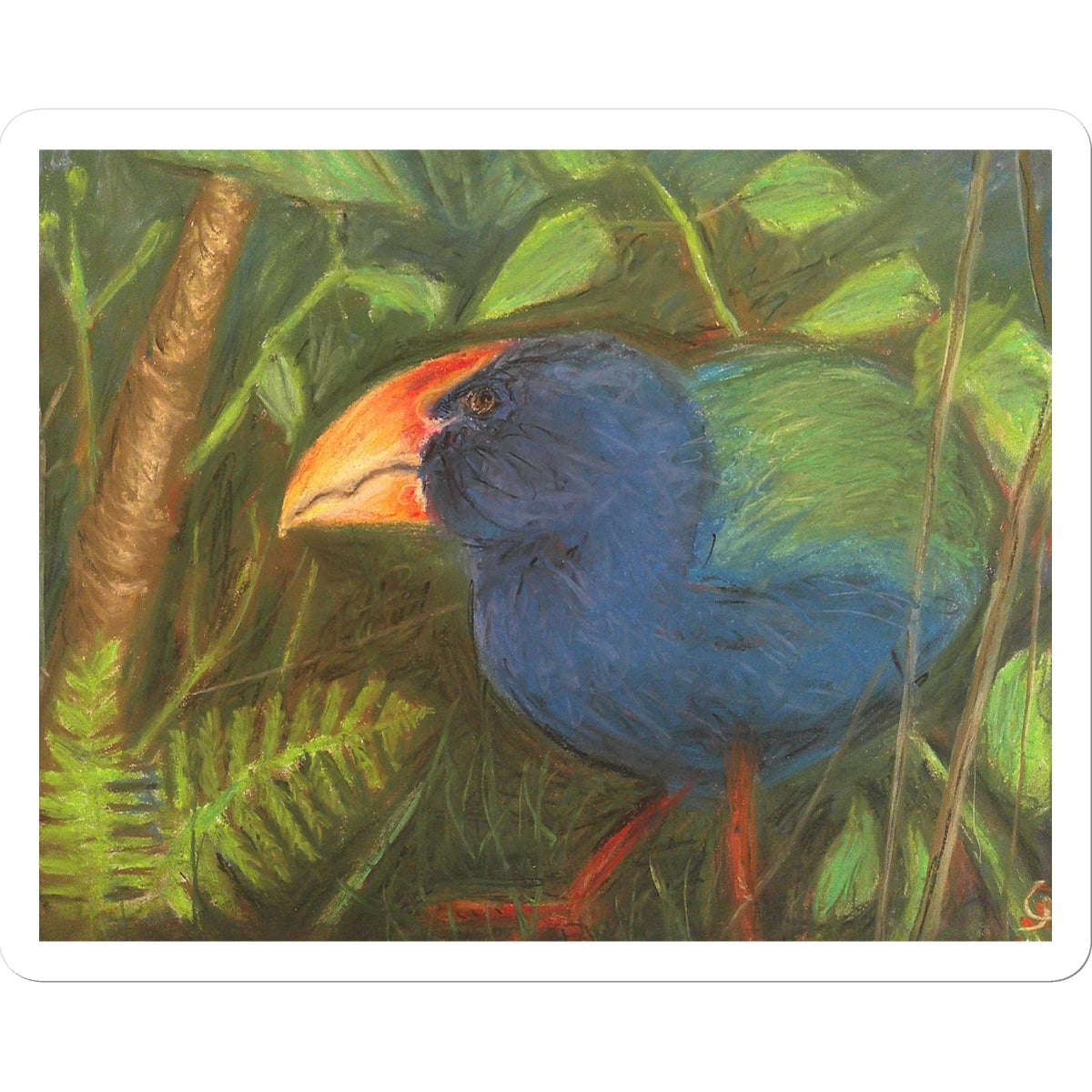 The Takahe Sticker