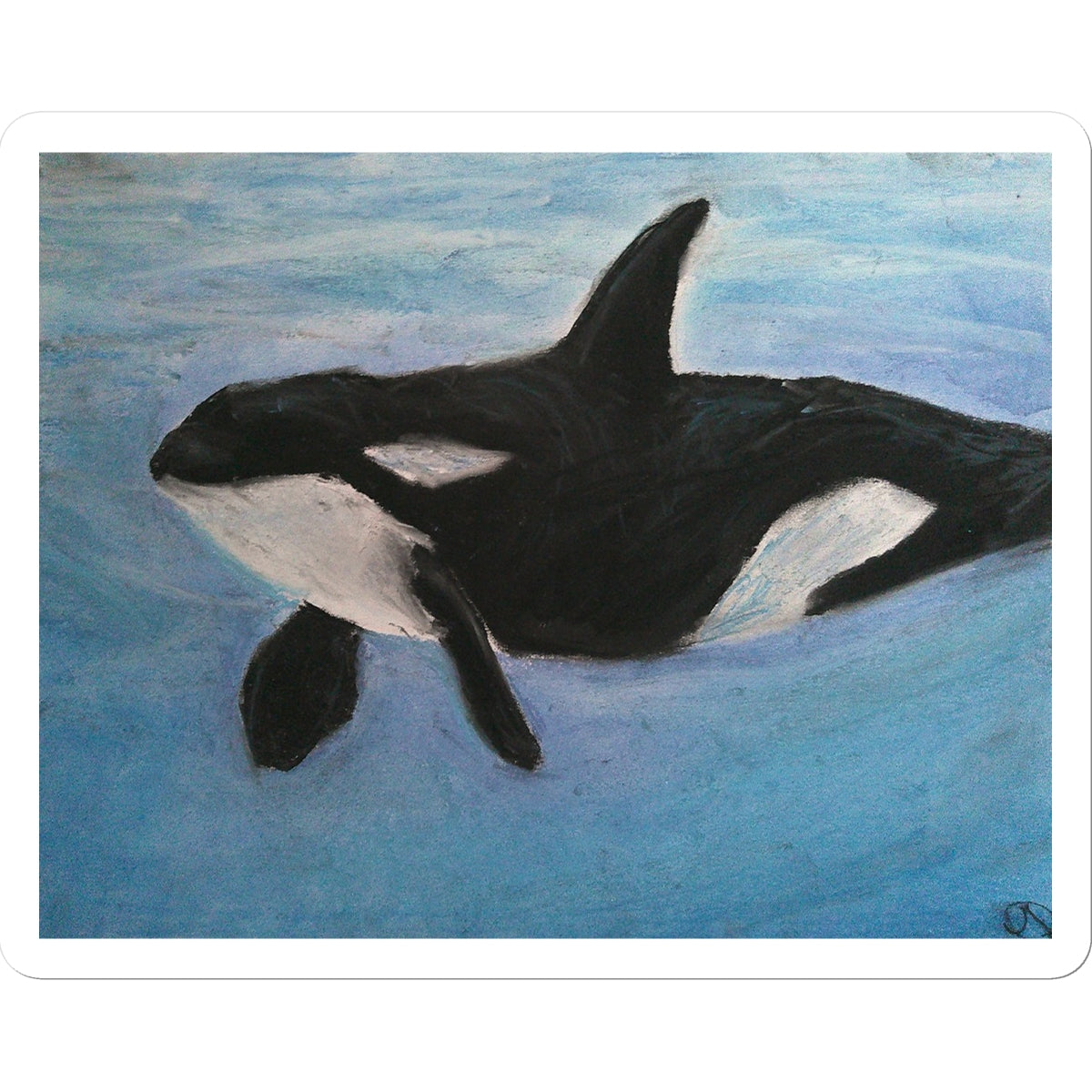 Orca Calls ~ Sticker