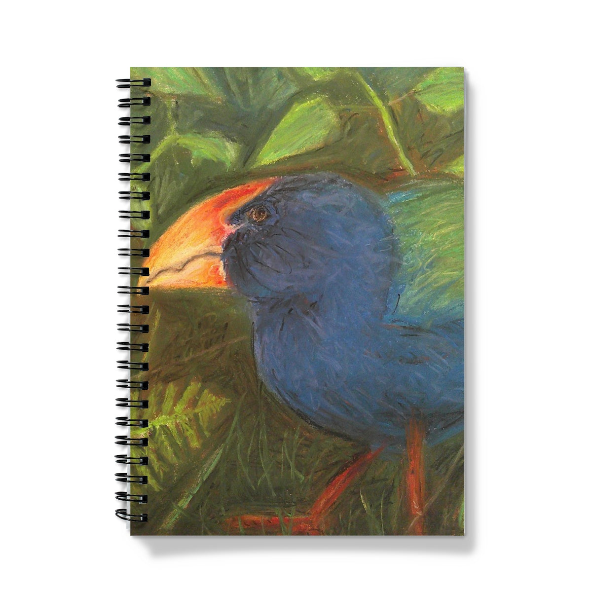 The Takahe Notebook