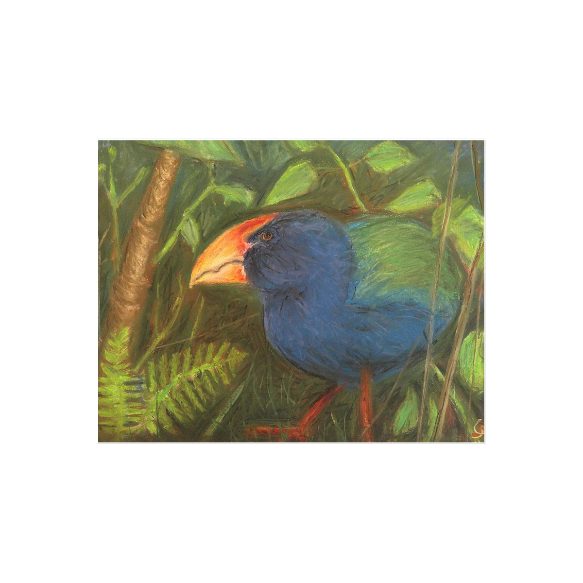 The Takahe Temporary Tattoo