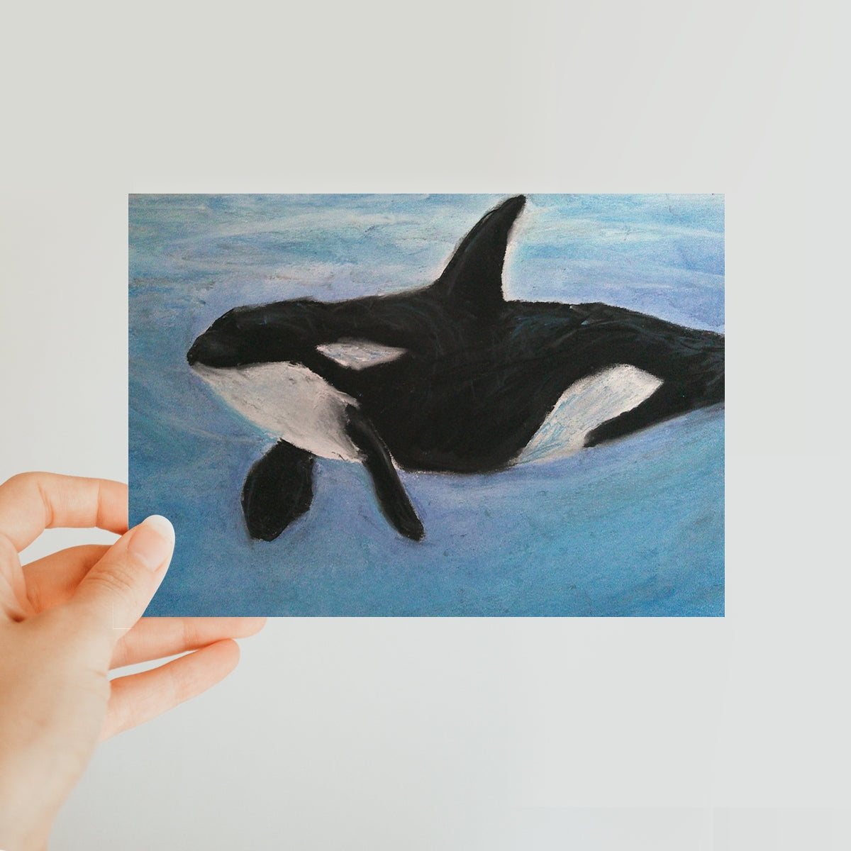 Orca Calls ~ Classic Postcard