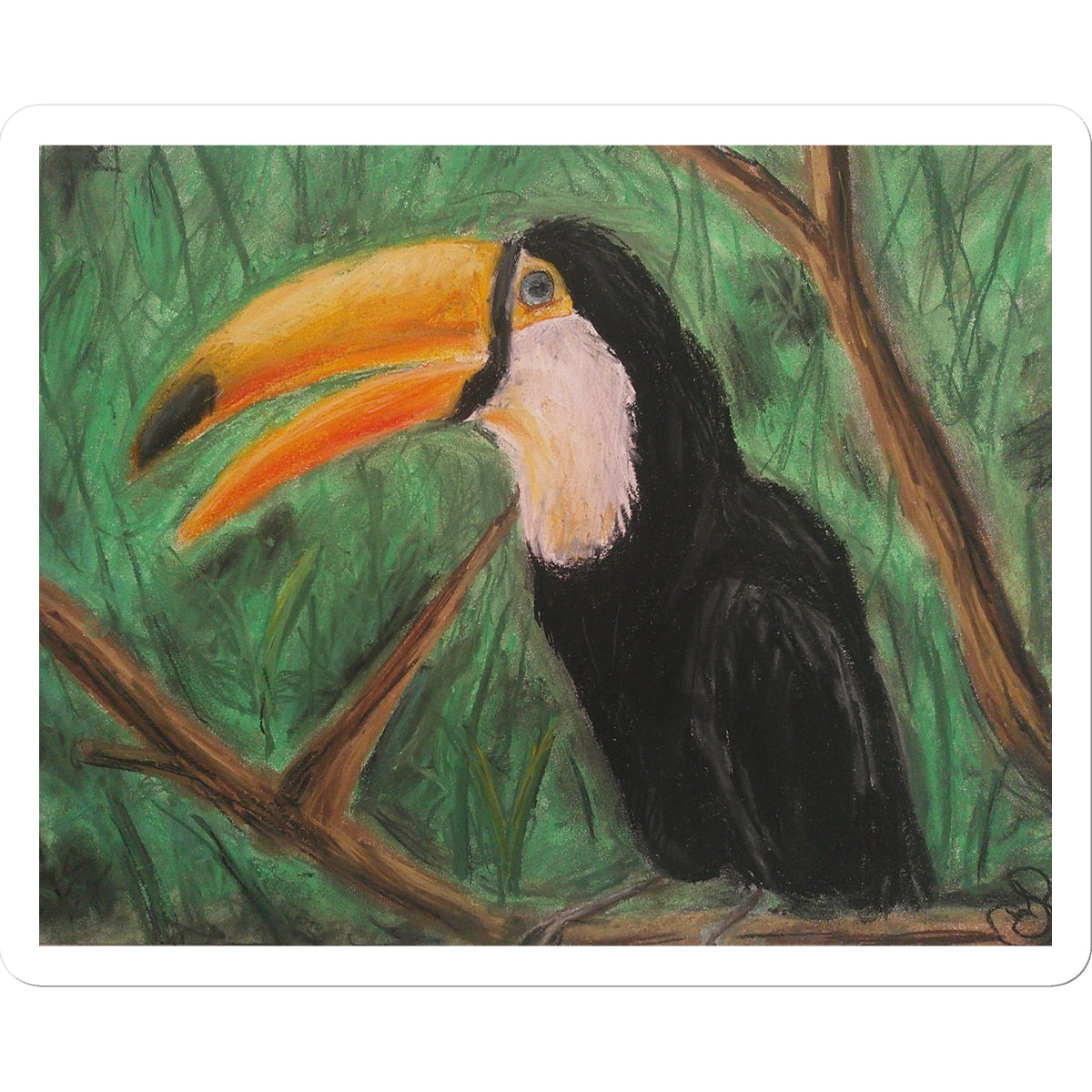 Toucan ~  Sticker