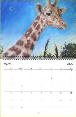 Dreamy Paintings ~ Wall calendars (US & CA) ~ 2025