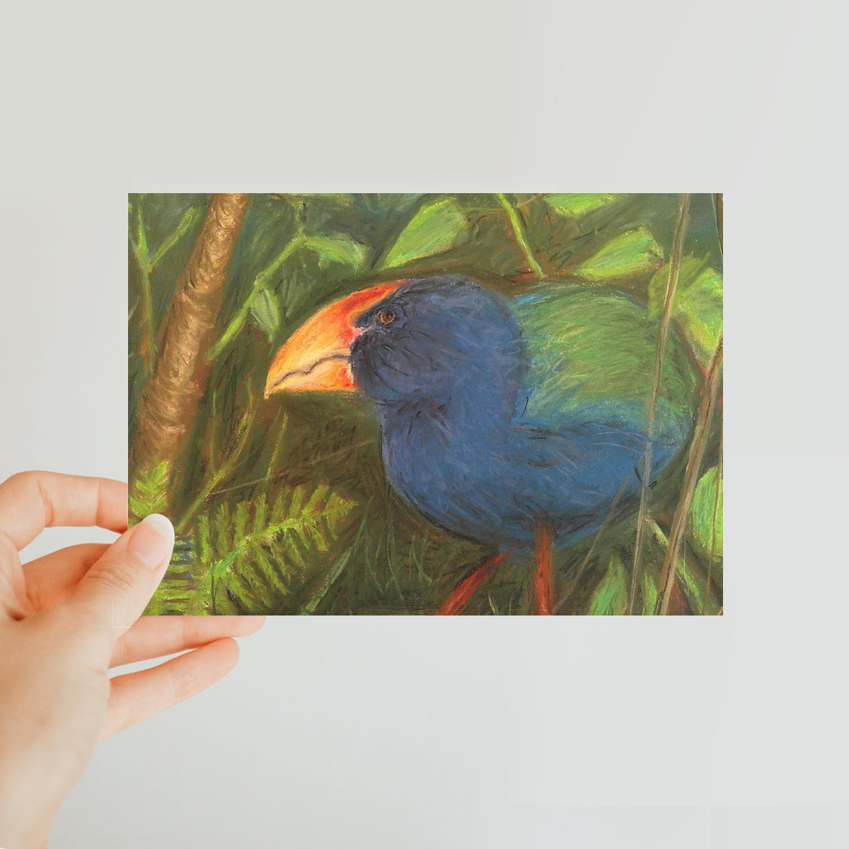 The Takahe Classic Postcard