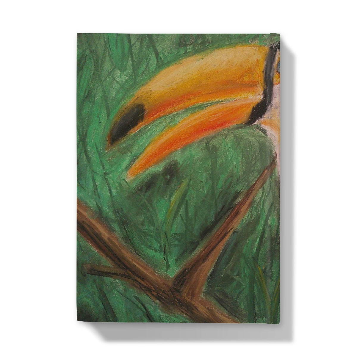 Toucan ~  Hardback Journal