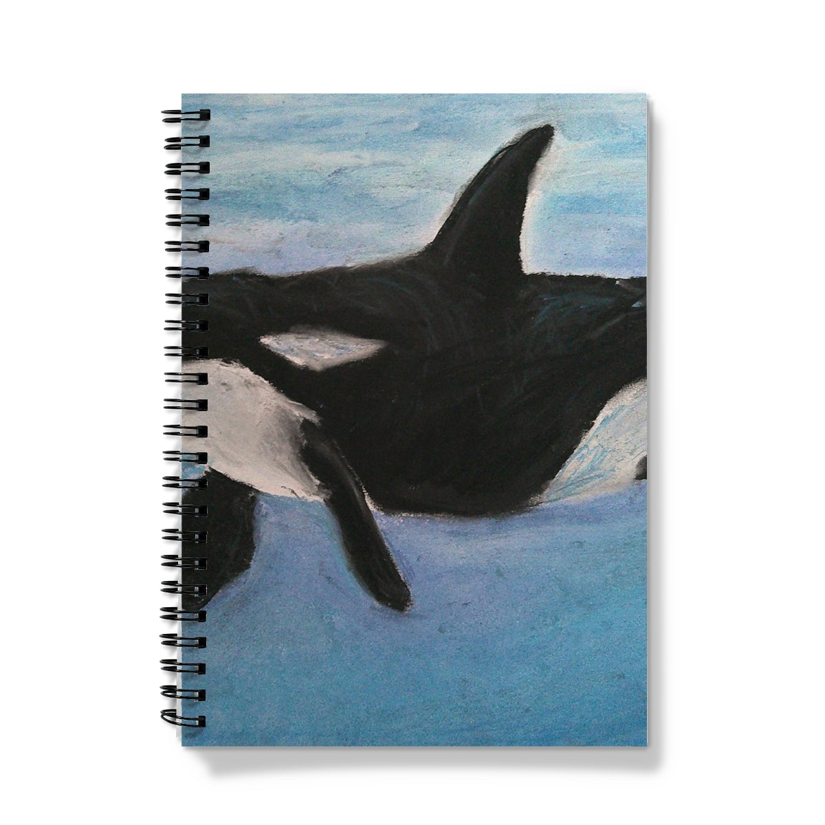 Orca Calls ~ Notebook