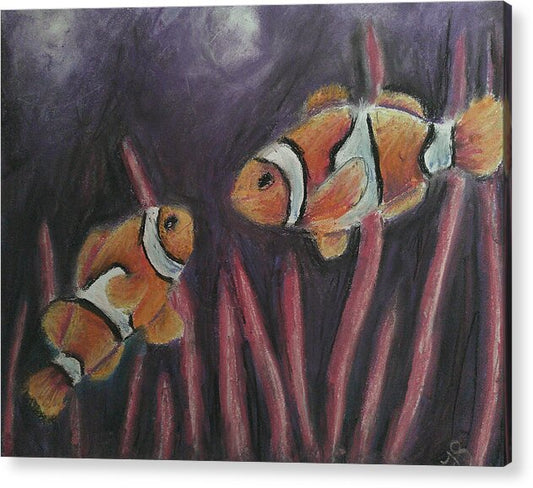 Clowning Around - Acrylic Print