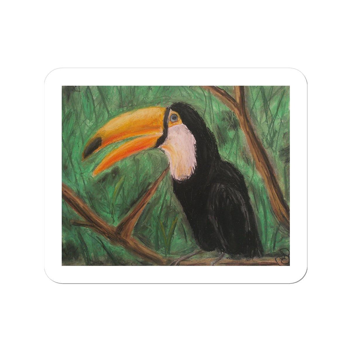 Toucan ~  Sticker