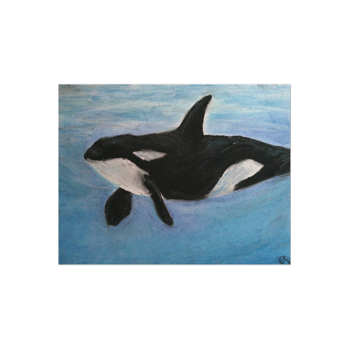 Orca Calls ~ Temporary Tattoo