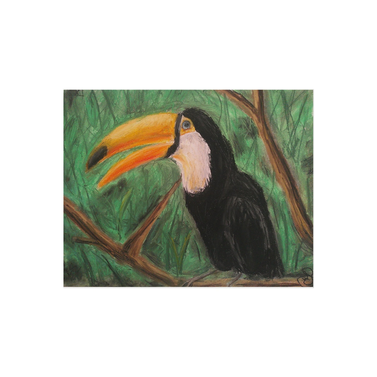 Toucan ~  Temporary Tattoo