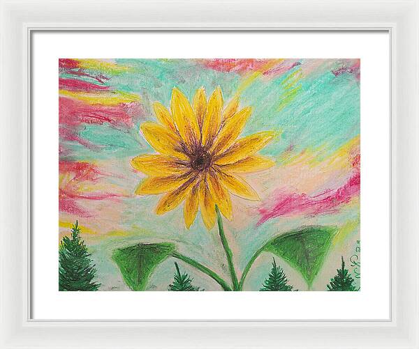 Sunflower Sets - Framed Print