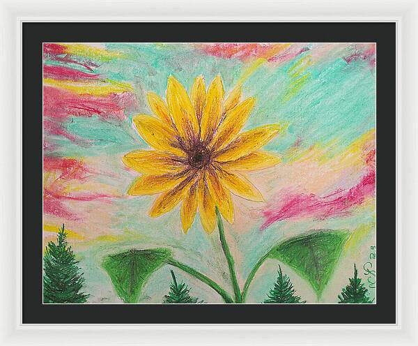 Sunflower Sets - Framed Print