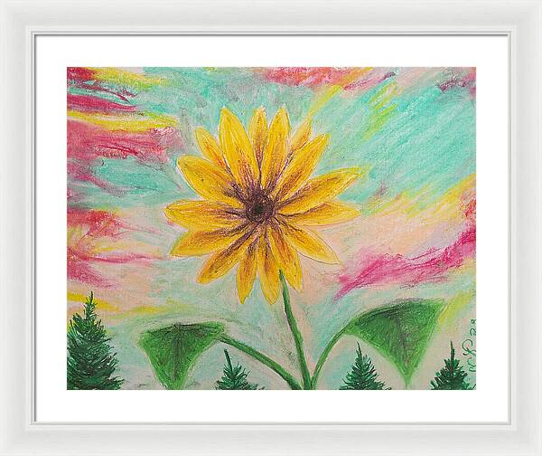 Sunflower Sets - Framed Print