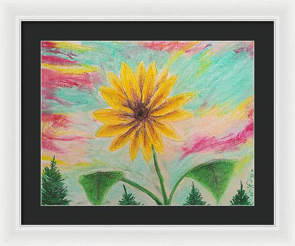 Sunflower Sets - Framed Print