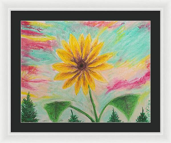 Sunflower Sets - Framed Print