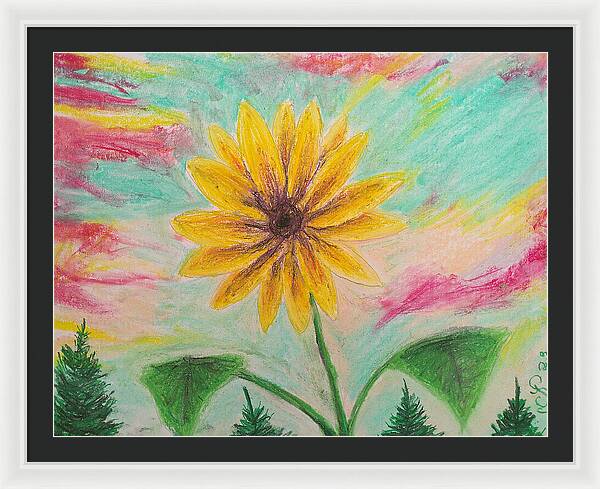 Sunflower Sets - Framed Print