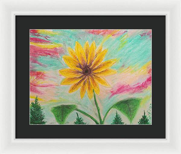 Sunflower Sets - Framed Print