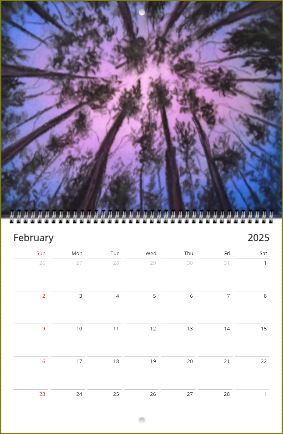 Forest Sky ~ Wall calendars (US & CA) ~ 2025