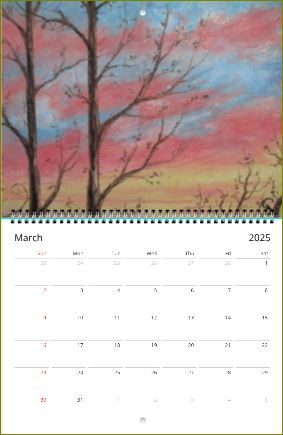 Forest Sky ~ Wall calendars (US & CA) ~ 2025