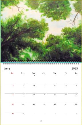 Forest Sky ~ Wall calendars (US & CA) ~ 2025