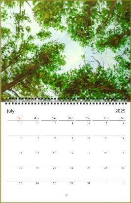 Forest Sky ~ Wall calendars (US & CA) ~ 2025