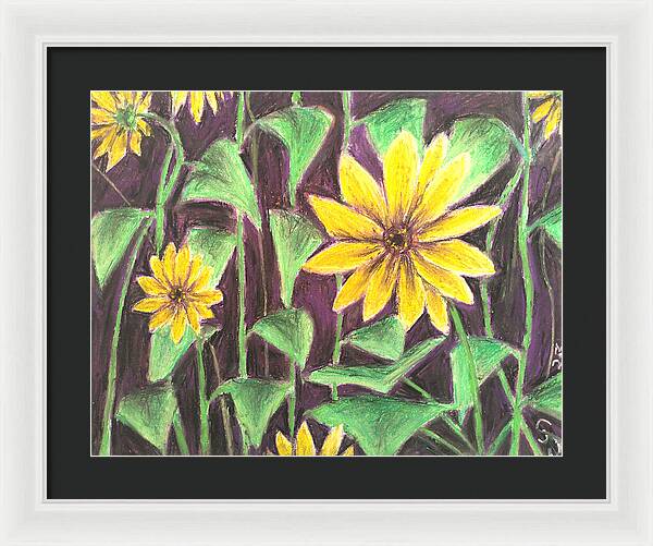 Nights of Sunflowers - Framed Print