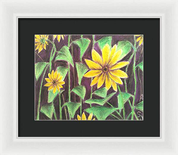 Nights of Sunflowers - Framed Print