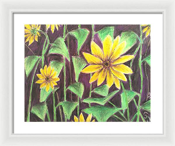 Nights of Sunflowers - Framed Print