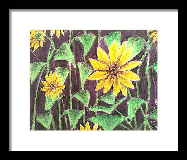 Nights of Sunflowers - Framed Print